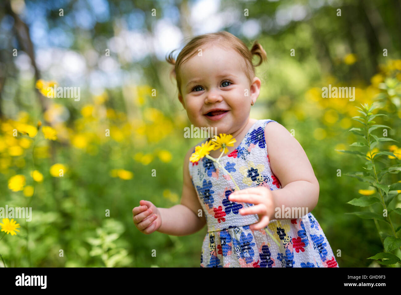 Little girl in the forest park Stock Photo - Alamy