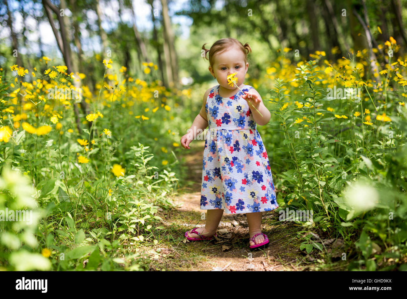 Little girl in the forest park Stock Photo - Alamy