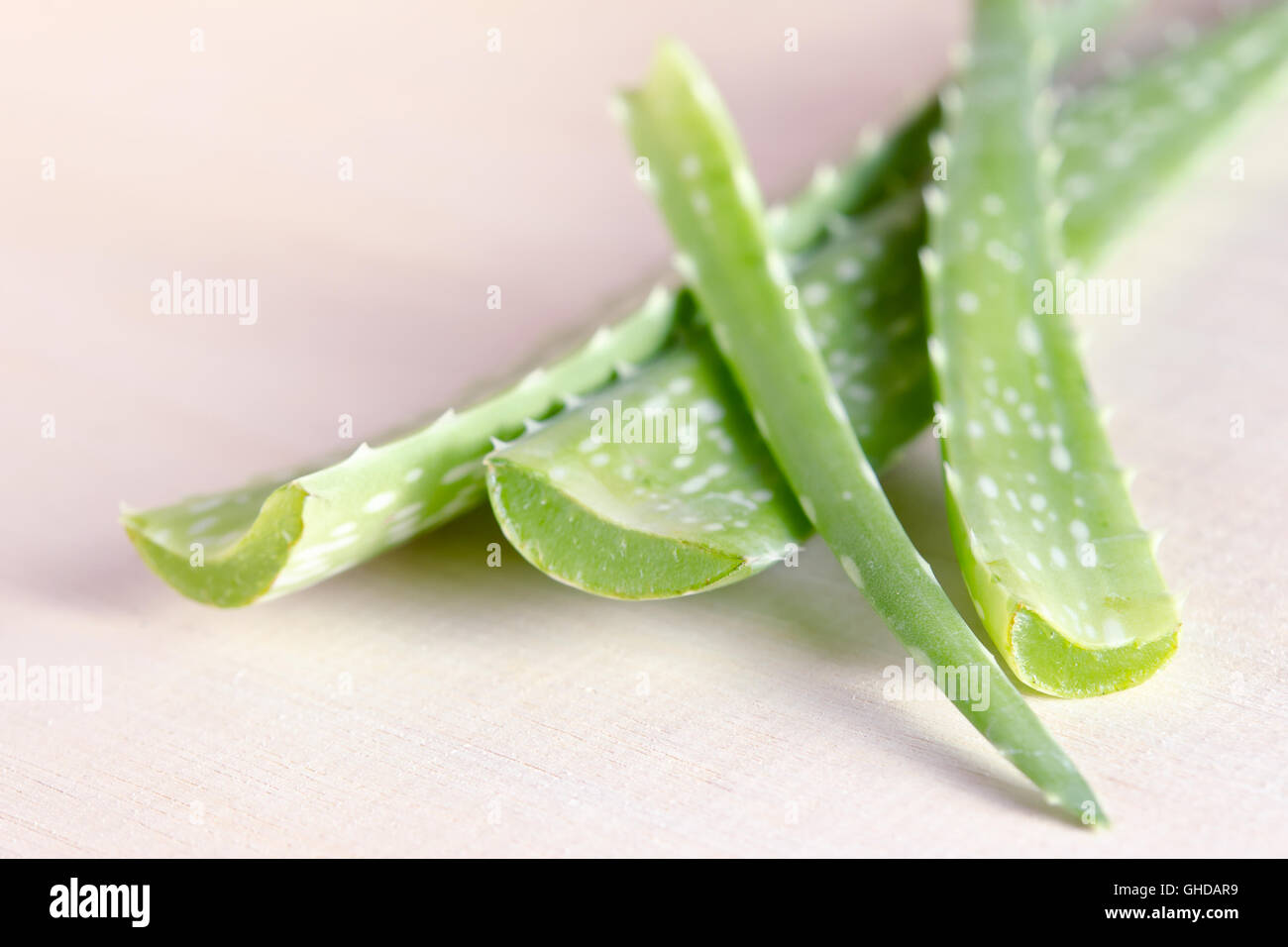 Aloe Vera (Also called as Aloe barbadensis Mill., Star cactus, Aloe, Aloin, Jafferabad, vera or Barbados) isolated on wood Stock Photo