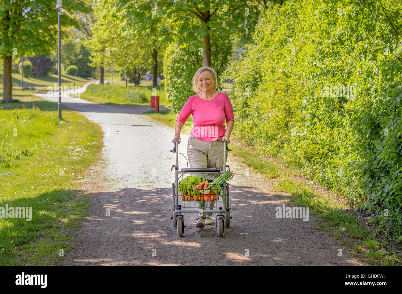 Elderly handicapped woman using a walker for mobility to do her grocery ...