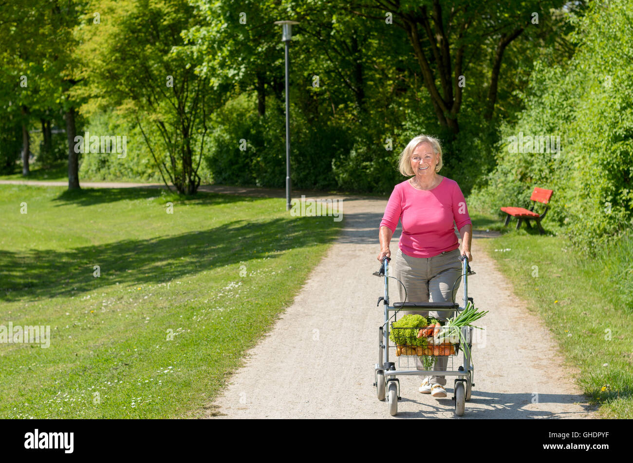 Elderly handicapped woman using a walker for mobility to do her grocery ...