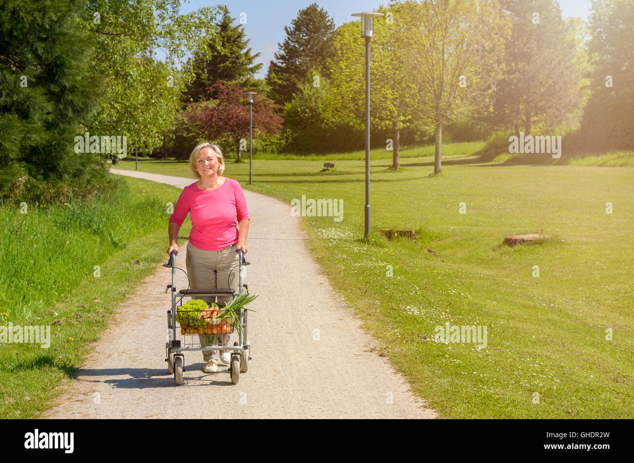Elderly handicapped woman using a walker for mobility to do her grocery ...