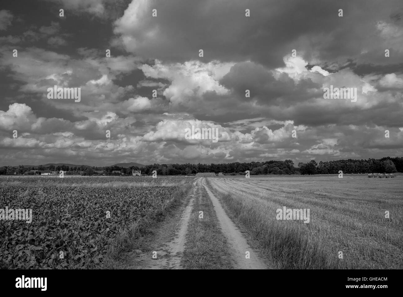 Dirt straight road among fields cloudy sky Lower Silesia Poland Stock Photo