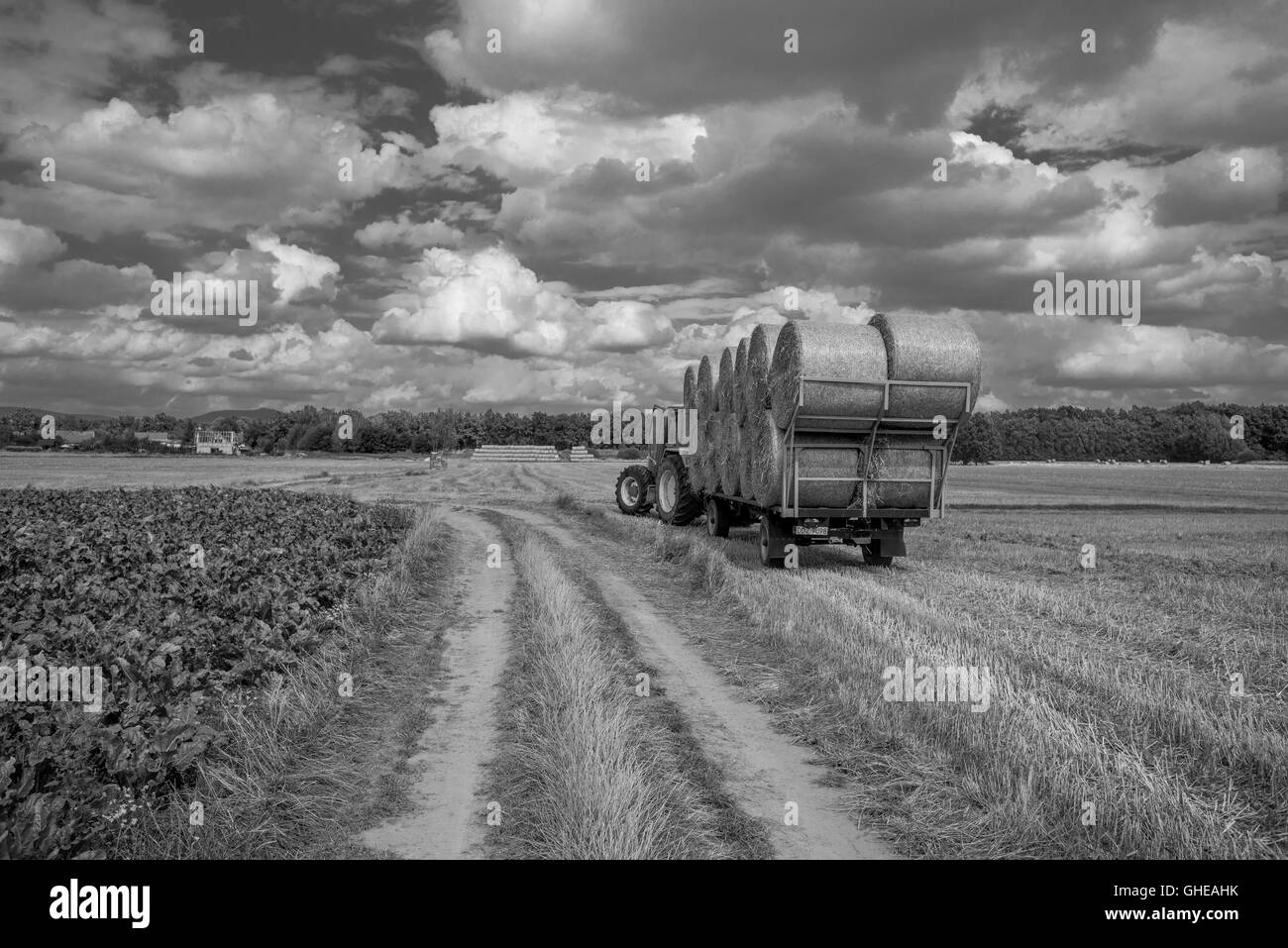 Dirt road among fields tractor trailer full of straw bales cloudy sky Lower Silesia Poland Stock Dirt road among fields tractor trailer full of straw bales cloudy sky Lower Silesia Poland Stock