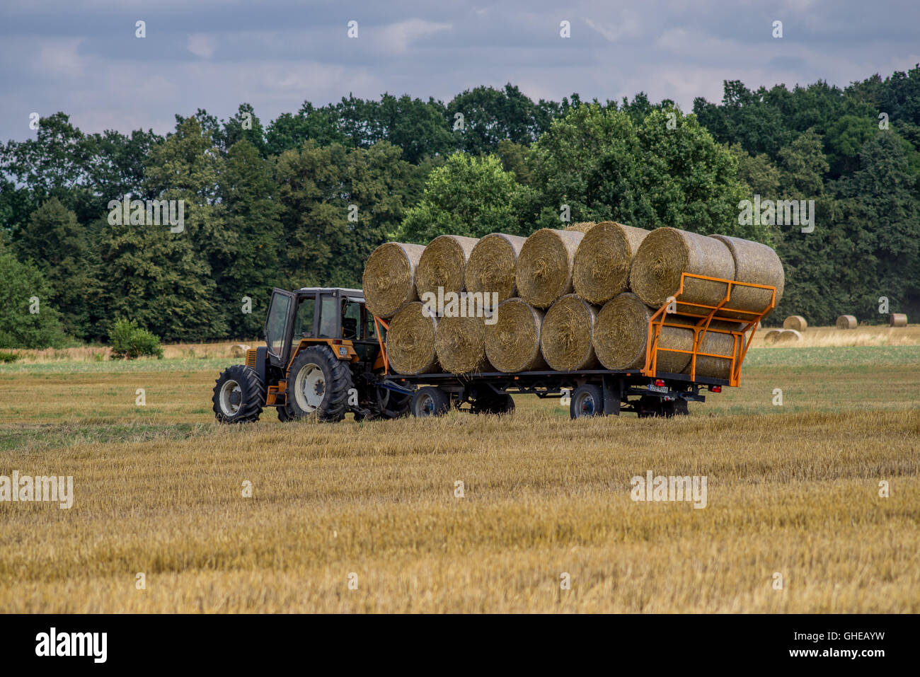 Tractor with a trailer full of straw bales Lower Silesia Poland Stock Photo