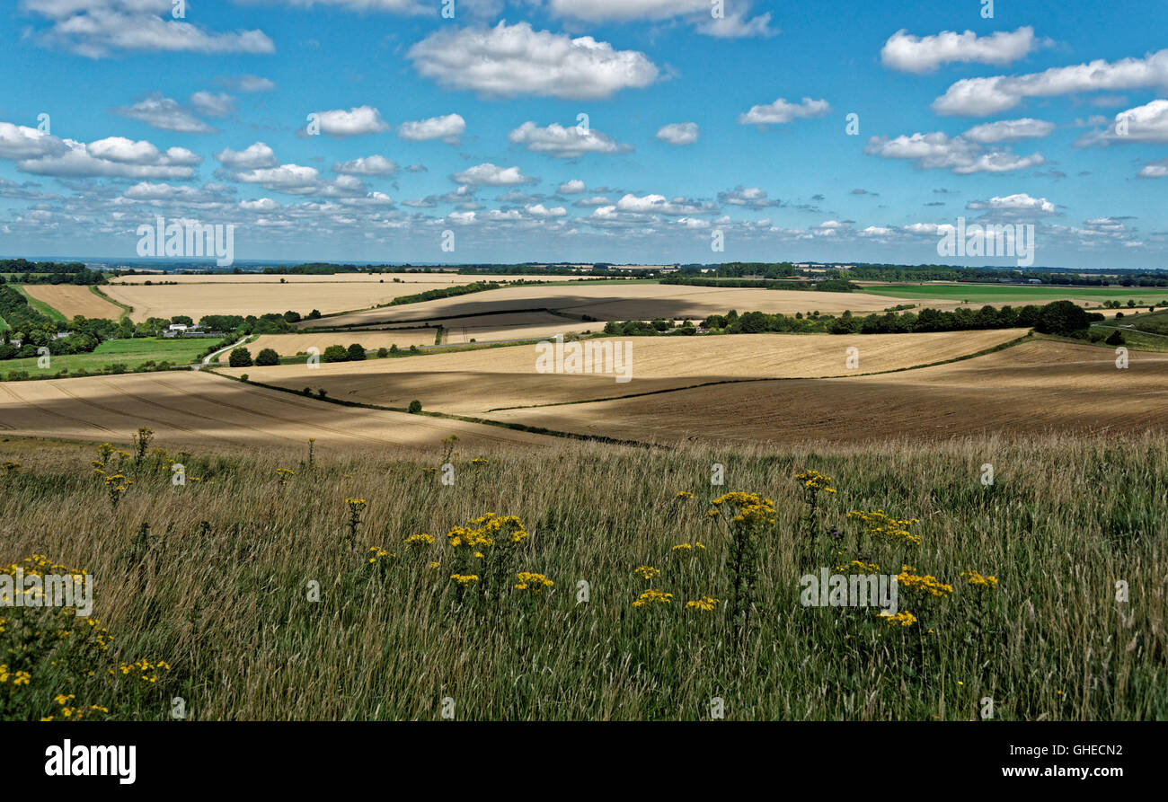 Wiltshire countryside from Cherhill  near Calne Wiltshire Stock Photo