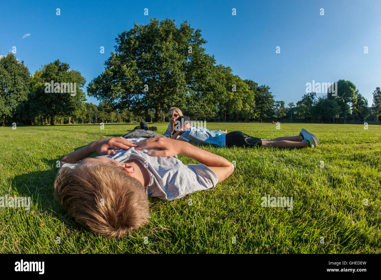 A family picnic in a London park Stock Photo