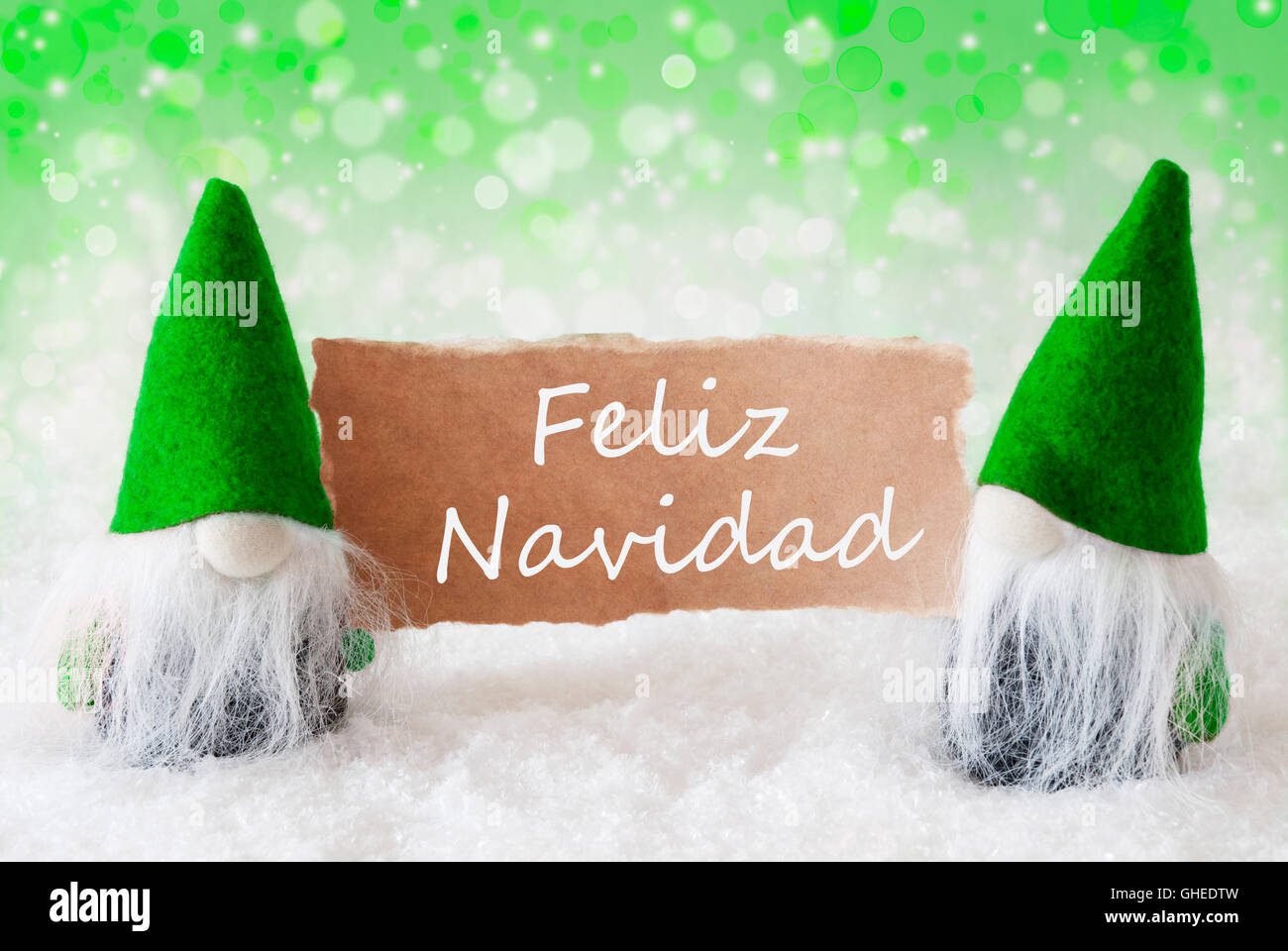 Green Natural Gnomes With Card, Feliz Navidad Means Merry Christmas Stock Photo