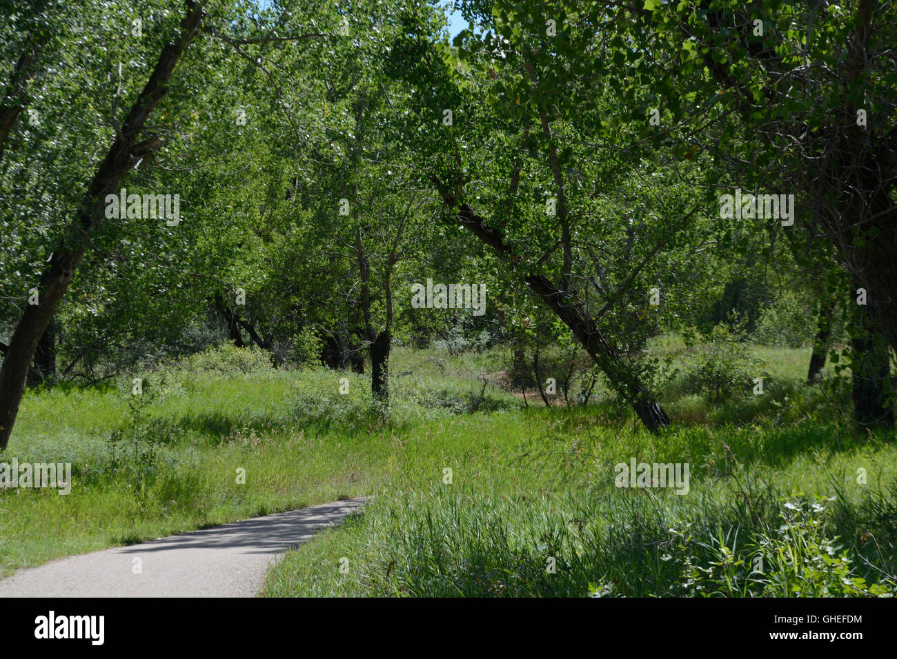 Native police of canada hi-res stock photography and images - Alamy
