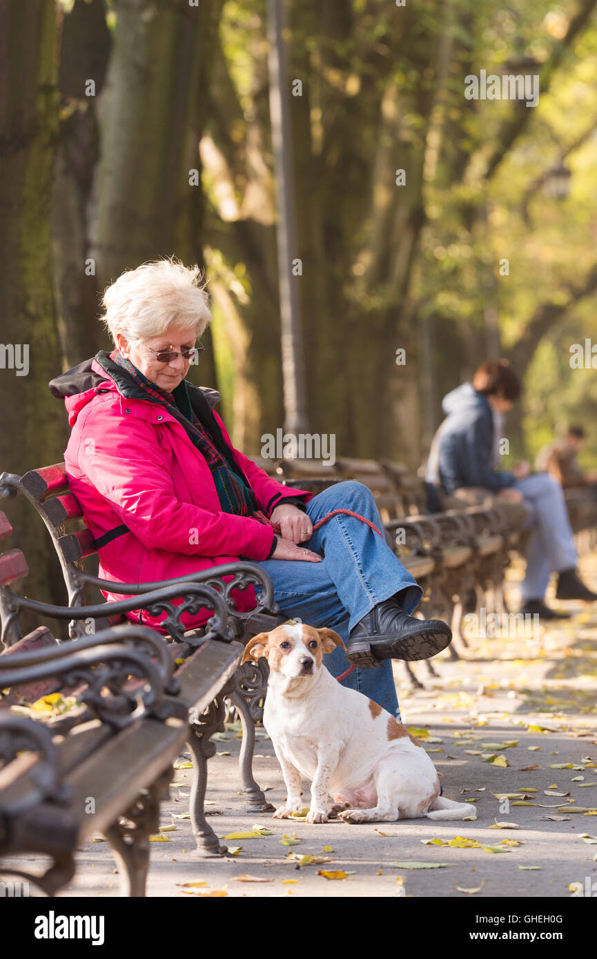 Old woman dog sitting in hi-res stock photography and images - Alamy