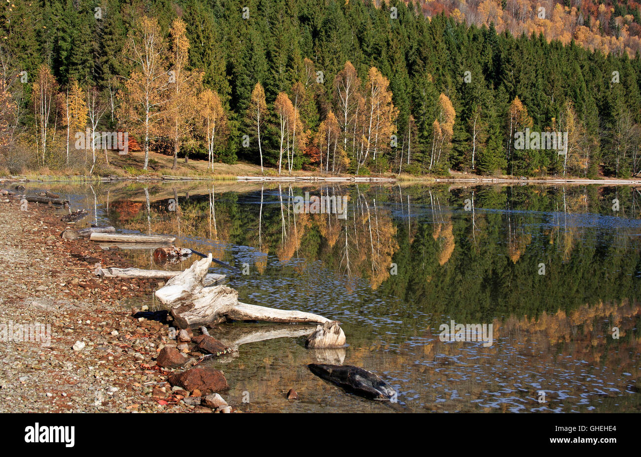 Autumn at the lake shore with reflection of trees in water Stock Photo