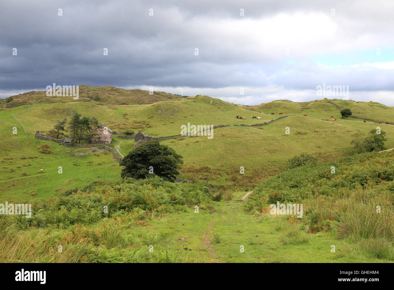 Remote and abandoned farmhouse on Spy Hill, high on the fells in Cumbria, Northern England. Stock Photo