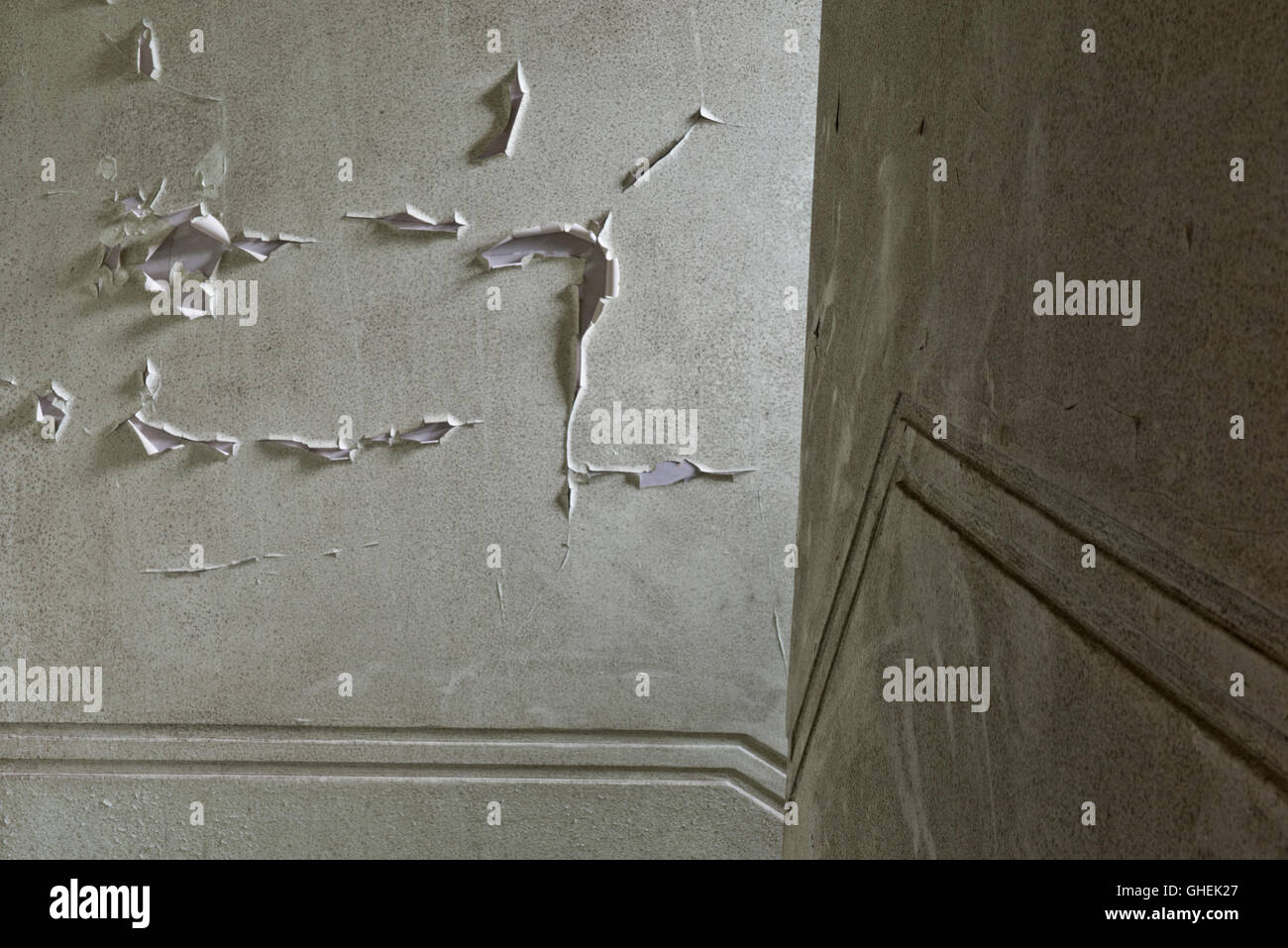 Flaky paint on the walls inside De Salis Hall Within the closed