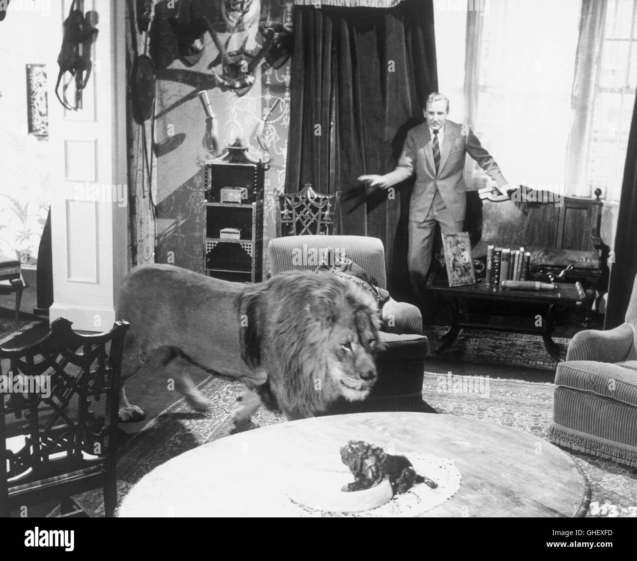 IN THE DOGHOUSE UK 1961 Darcy Conyers LESLIE PHILLIPS (Jimmy Fox-Upton) and the lion in the living room. Regie: Darcy Conyers Stock Photo