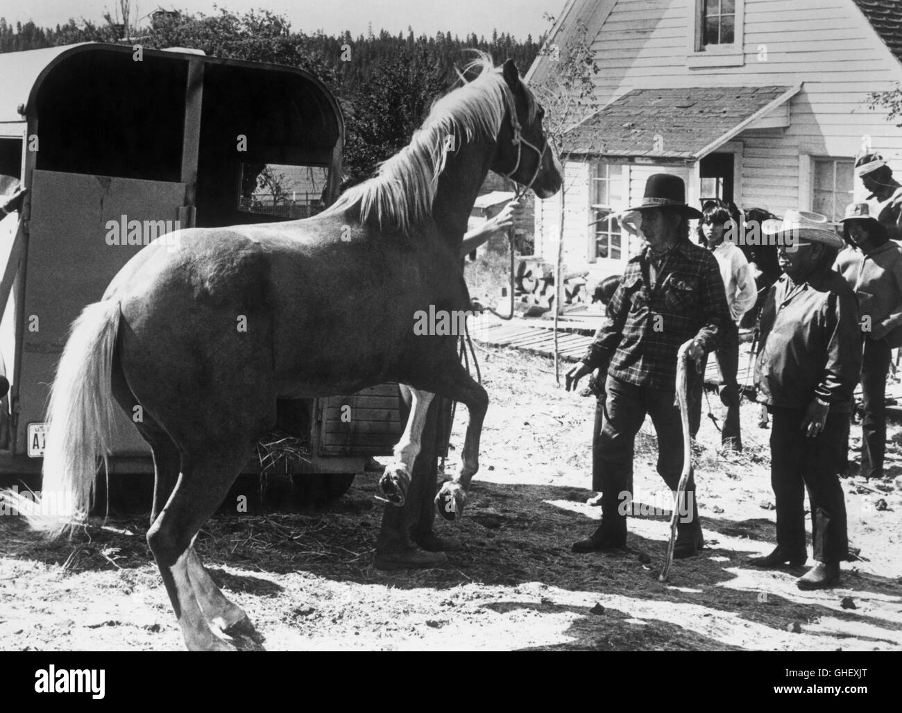THREE WARRIORS USA 1978 Kieth Merril Grandfather (CHARLES WHITE EAGLE) examines the horse he bought for his grandson Michael. Regie: Kieth Merril Stock Photo