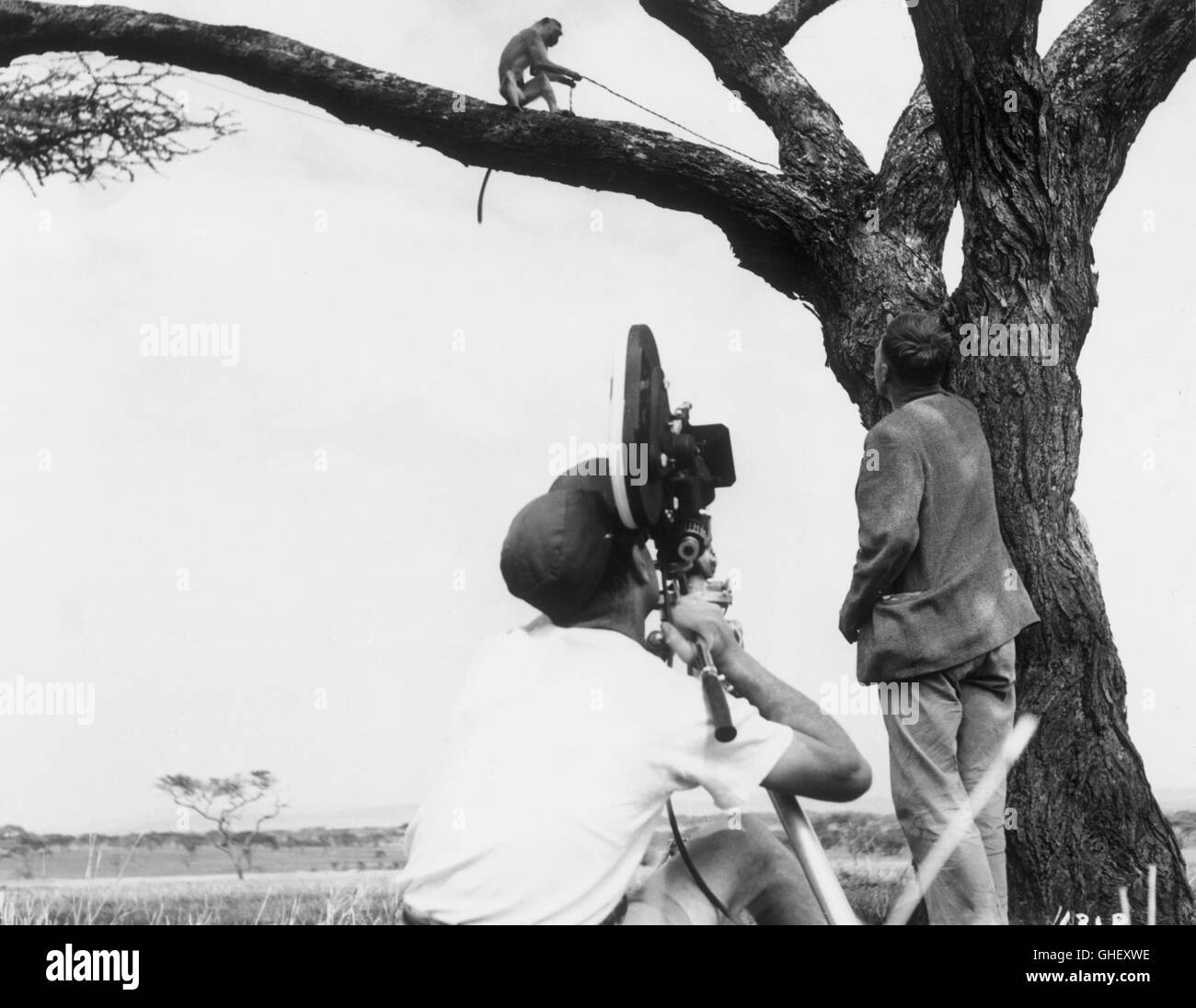 TOTO AND THE POACHERS UK 1958 Brian Salt Shooting in Africa. Regie: Brian Salt Stock Photo