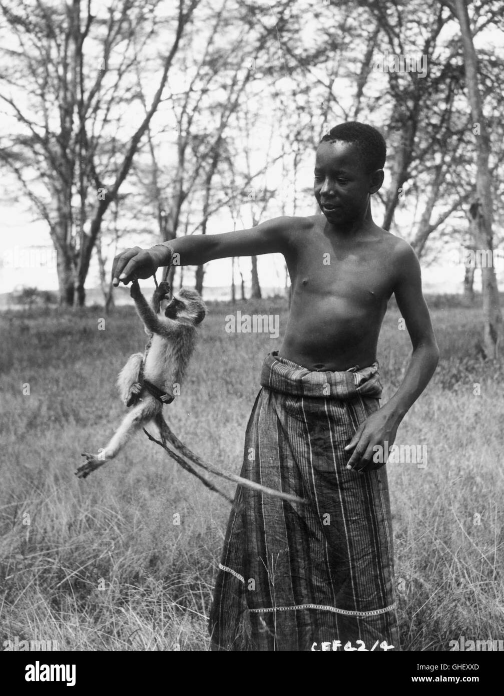 TOTO AND THE POACHERS UK 1958 Brian Salt Little monkey with the african boy John Aloisi as Toto. Regie: Brian Salt Stock Photo