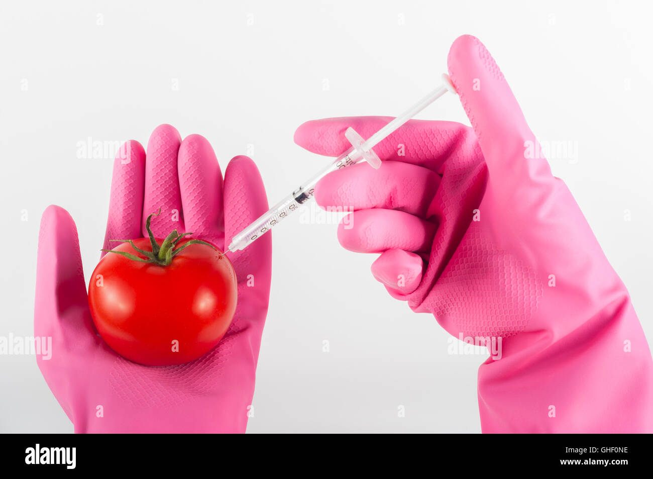 modified tomato Stock Photo