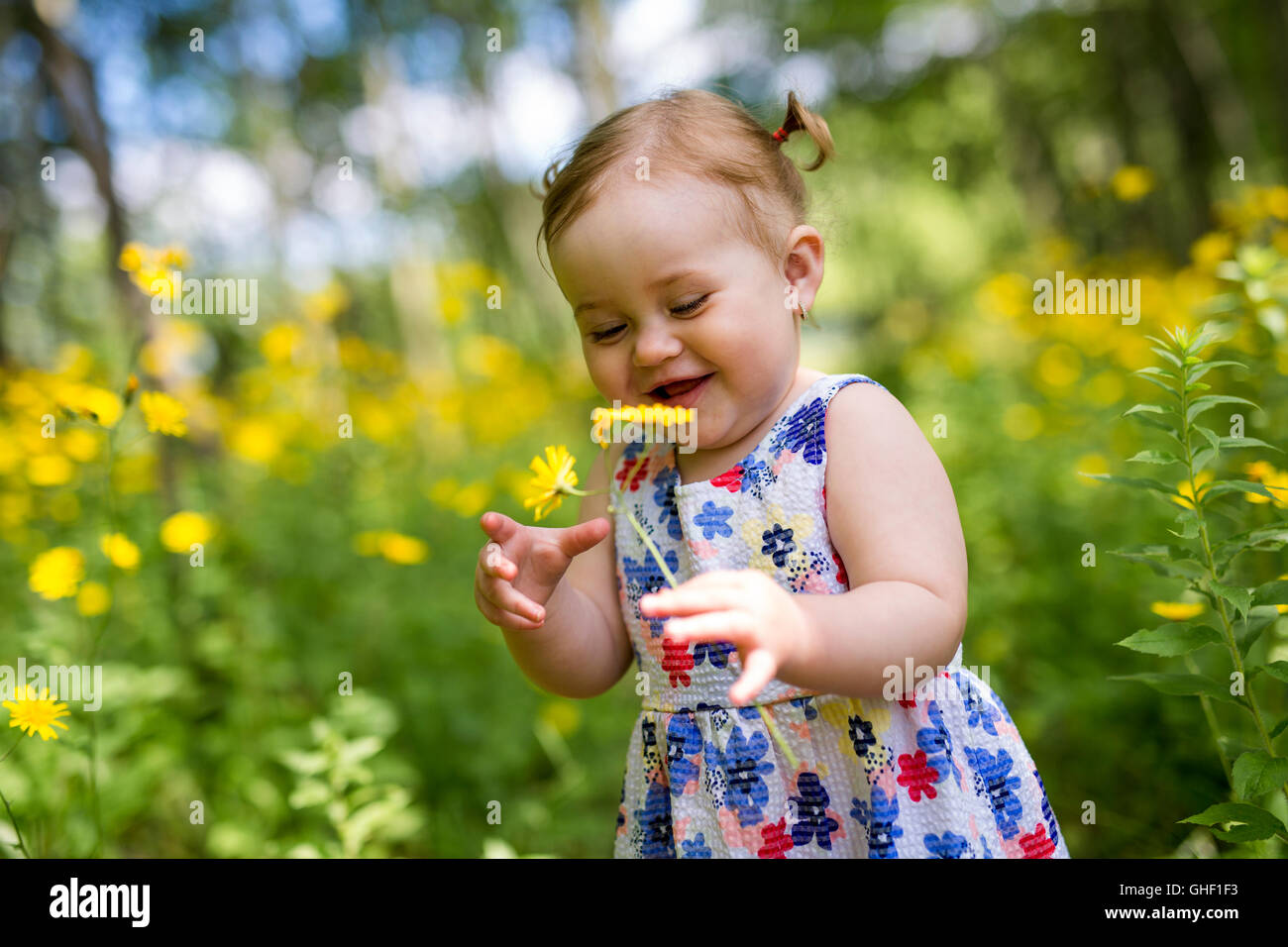 Little girl in the forest park Stock Photo - Alamy