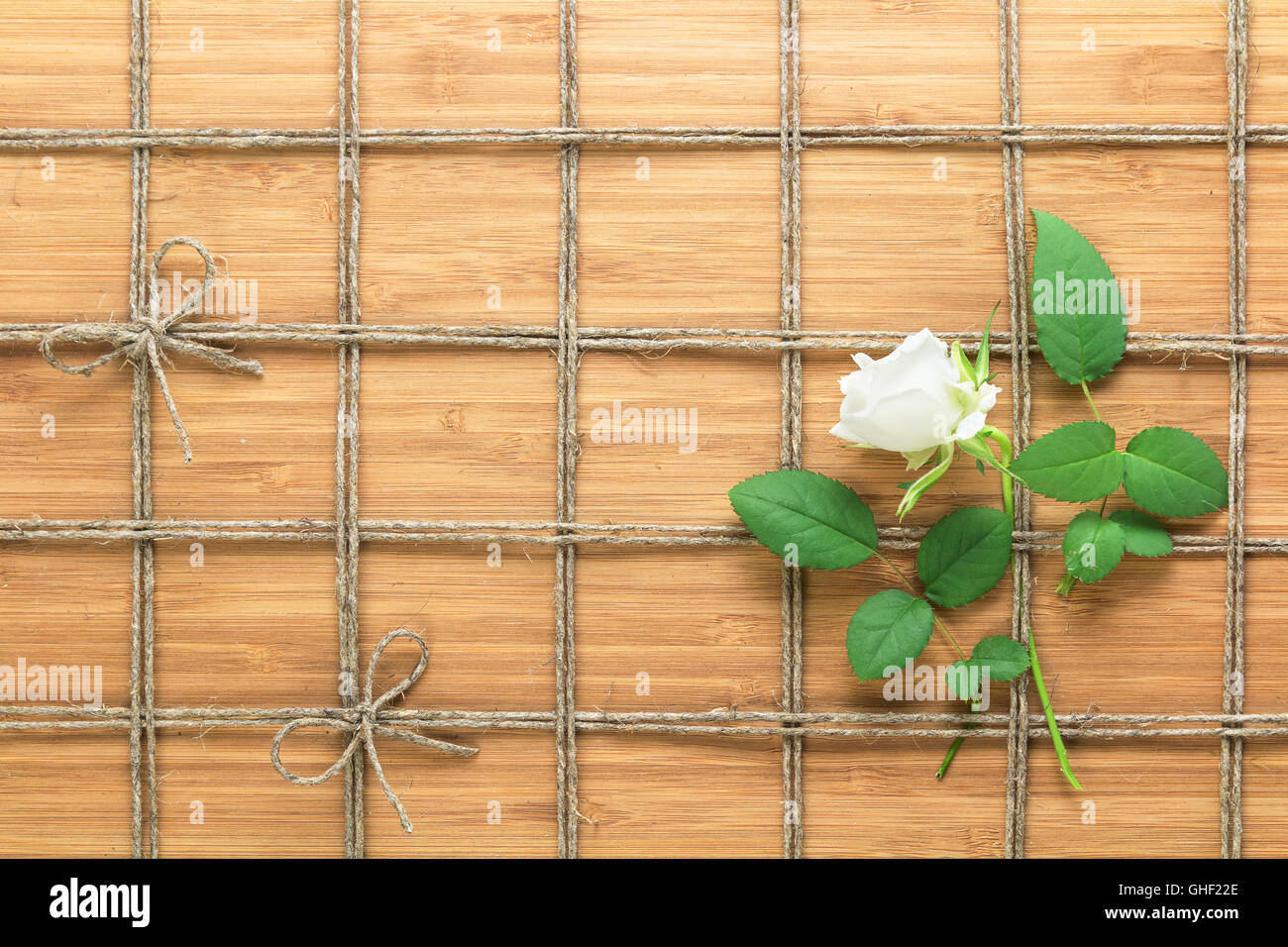 Square lined rope pattern on a wooden background and white rose with leaves interwoven between it. Texture for nature themes. Stock Photo