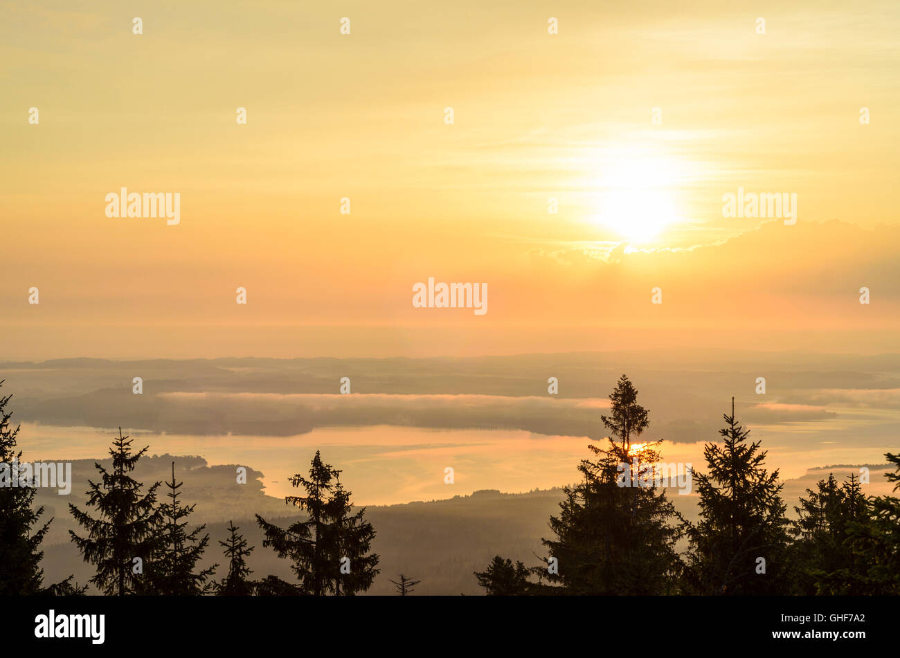 Aigen im Mühlkreis: Summit Bärenstein overlooking the Lipno reservoir of Vlatava at sunrise, Austria, Oberösterreich, Upper Aust Stock Photo