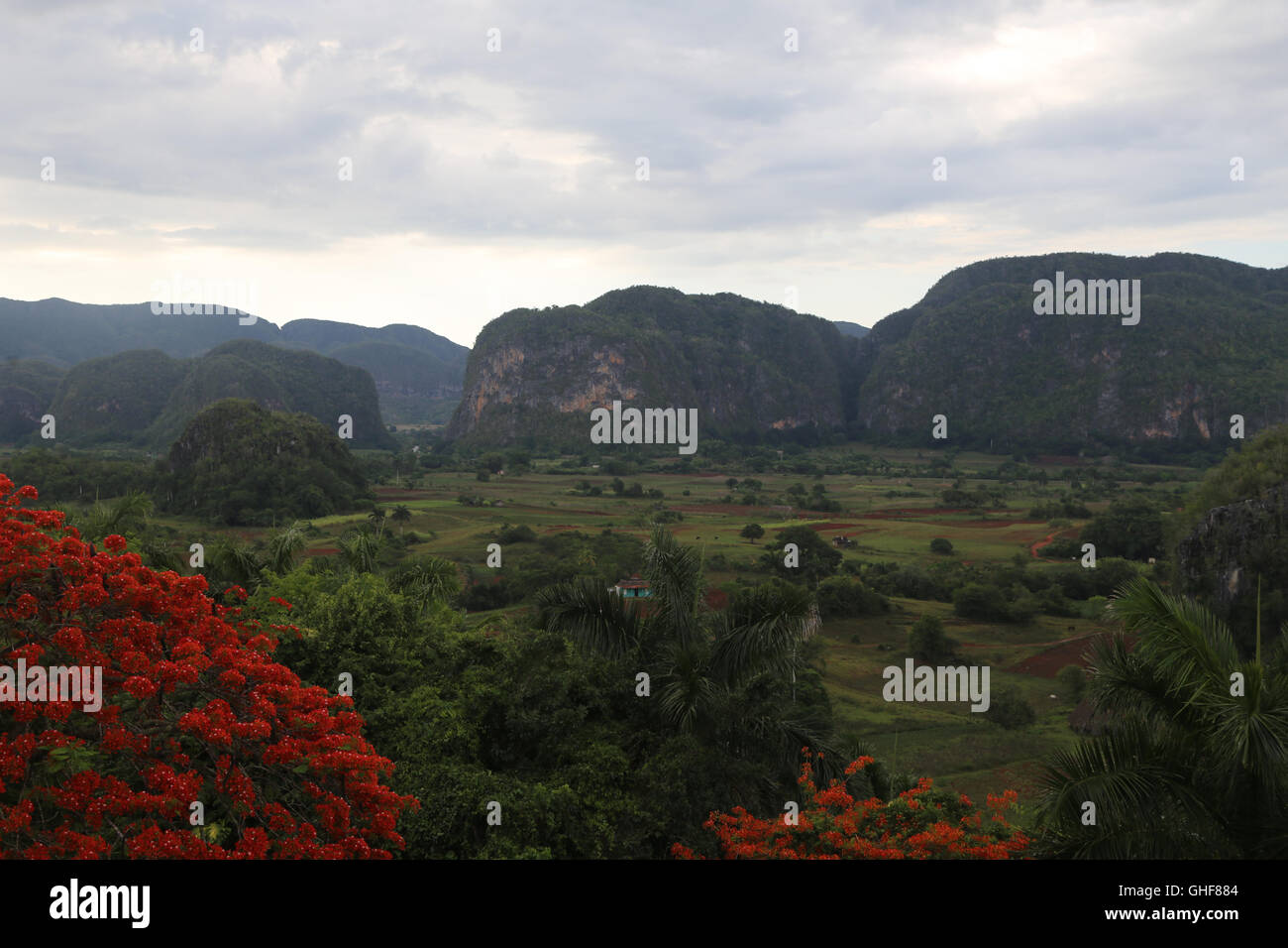 A view of Vinales Vally under cloudy skies, summer 2015 in Cuba. Stock Photo