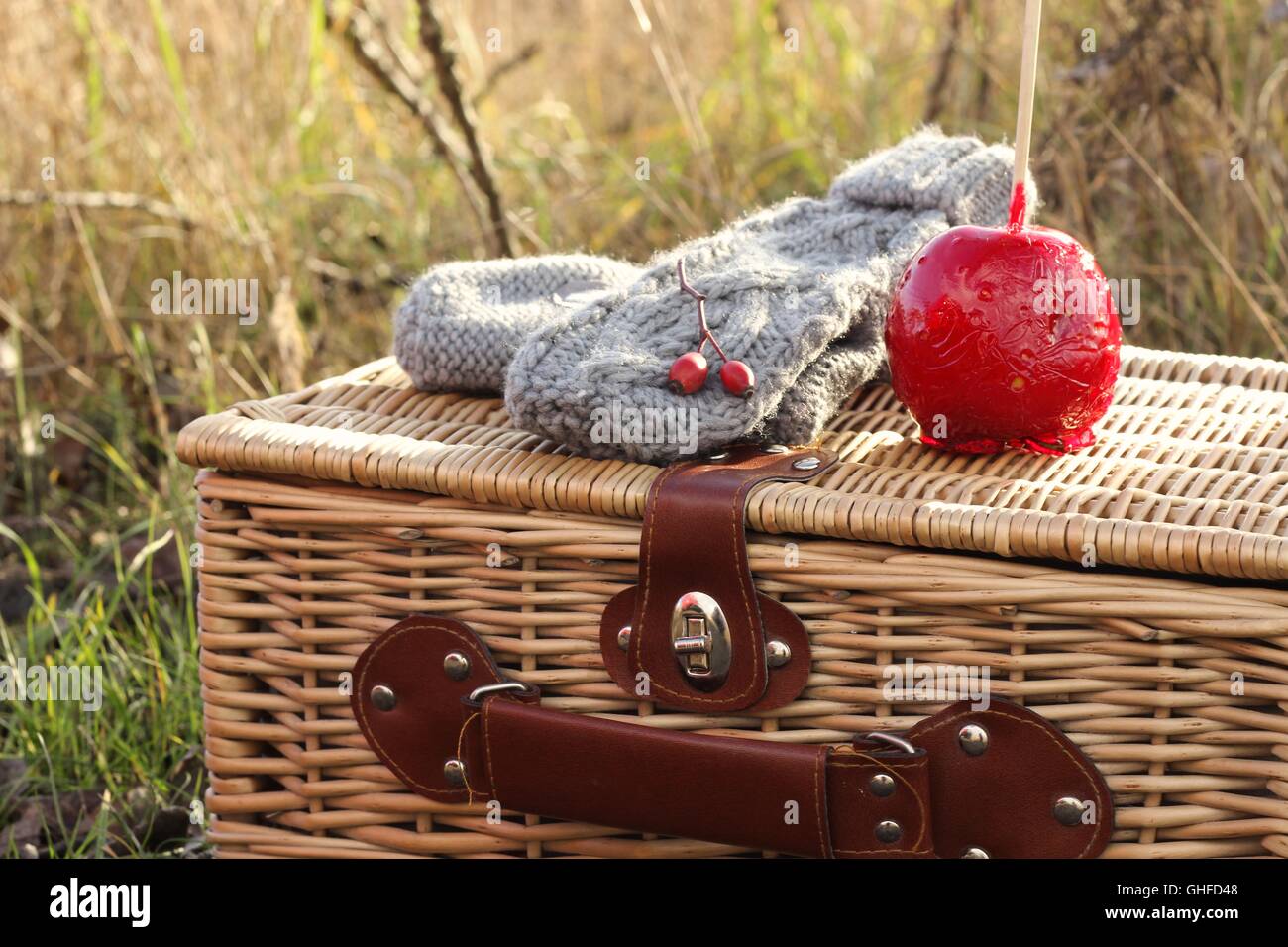 Vintage picnic hires stock photography and images Alamy