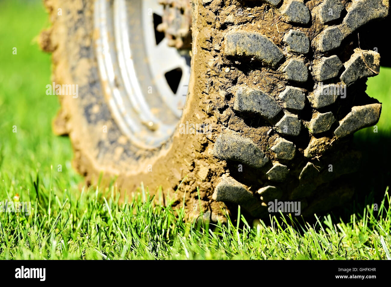 Premium AI Image  A tire in the mud is in the water and the grass is  covered in mud.