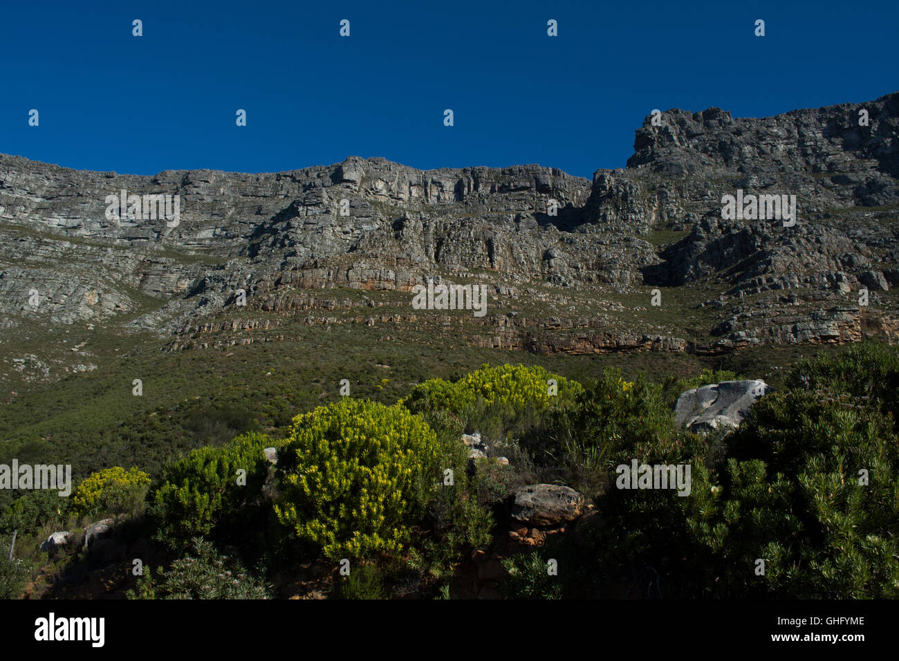 Table Mountain - South Africa Stock Photo
