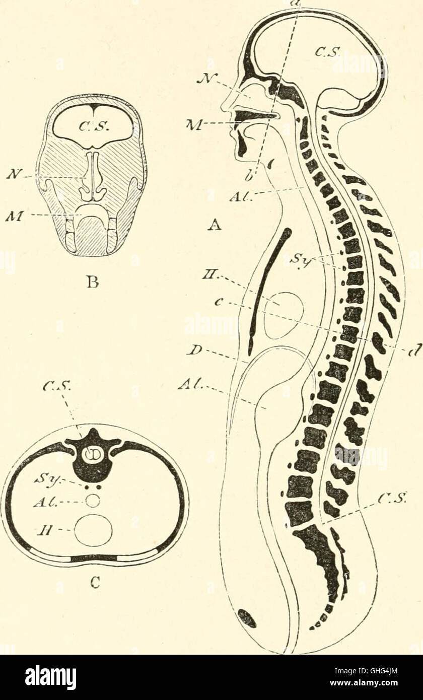 The bible and science 1881 stock photo alamy