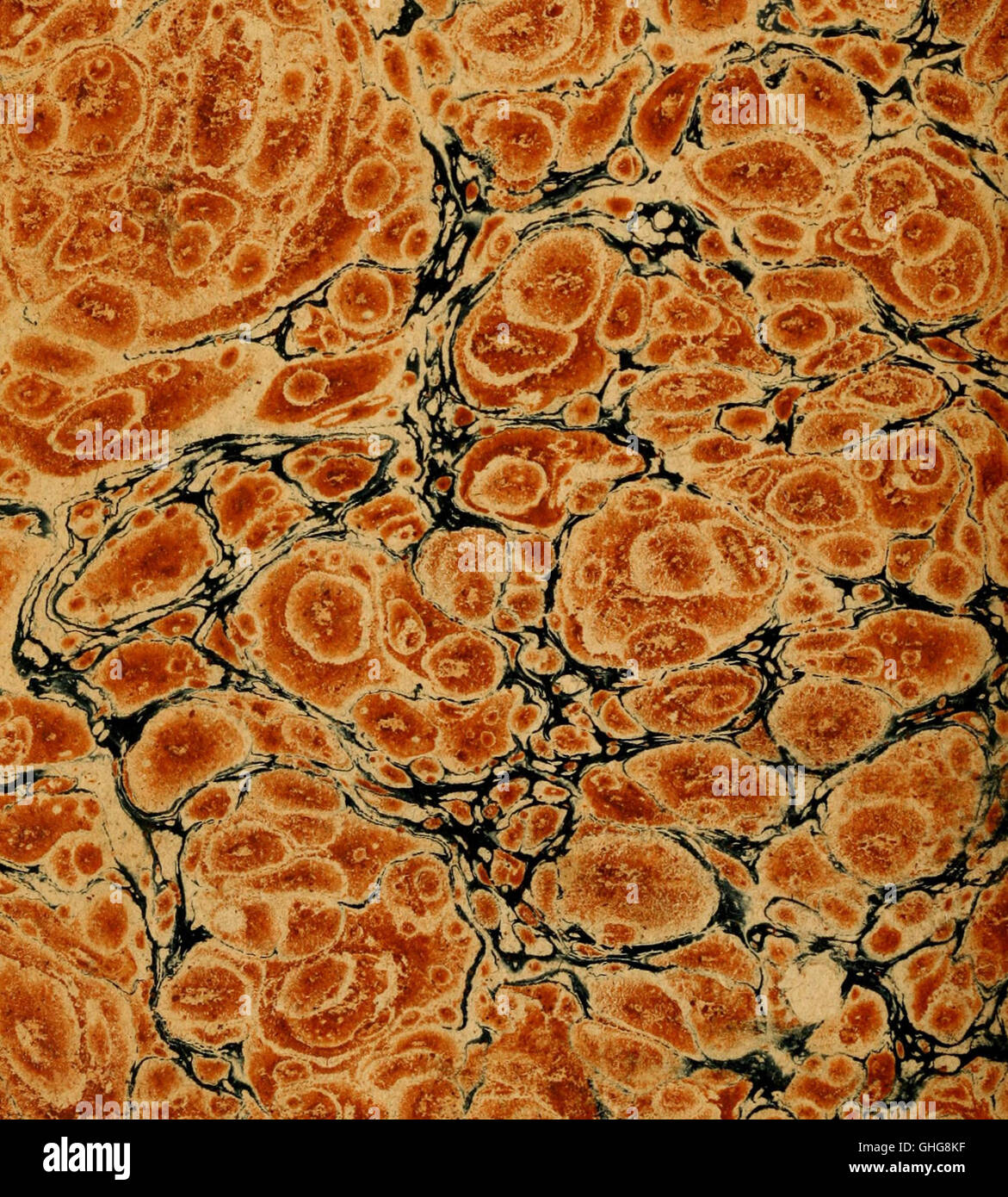 Histoire du sacre et du couronnement des rois et reines de France