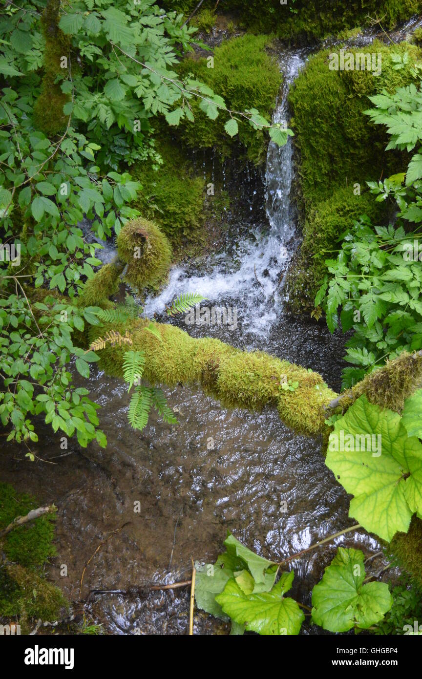 A small waterfall between rocks covered with moss Stock Photo