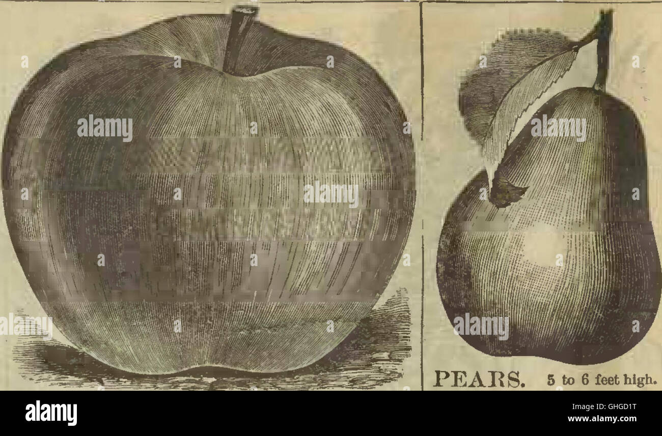 Map of shumway hires stock photography and images Alamy