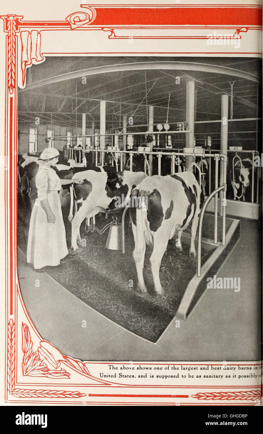 A 1918 catalogue showcasing various equipment for dairy barns and horse