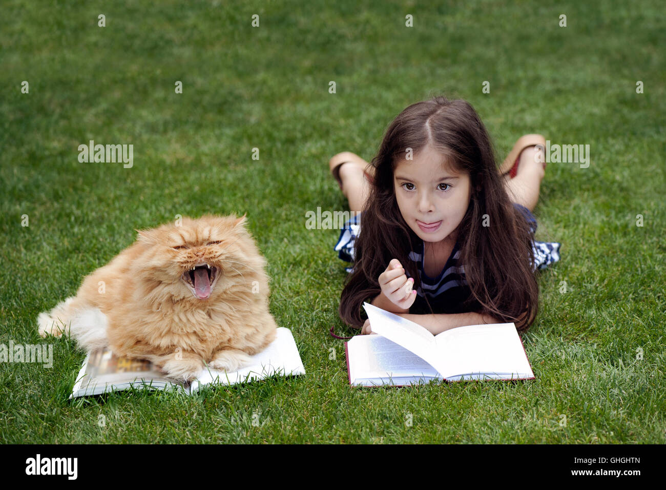 Little girl with funny Persian cat lying on grass,reading book Stock Photo