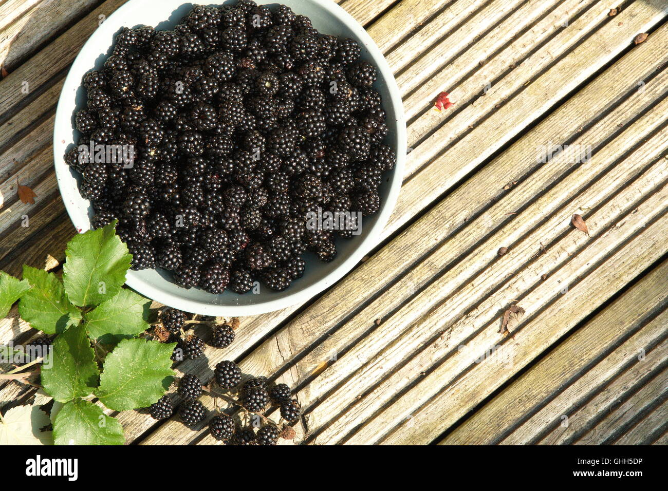 Blackberry bushes hires stock photography and images Alamy