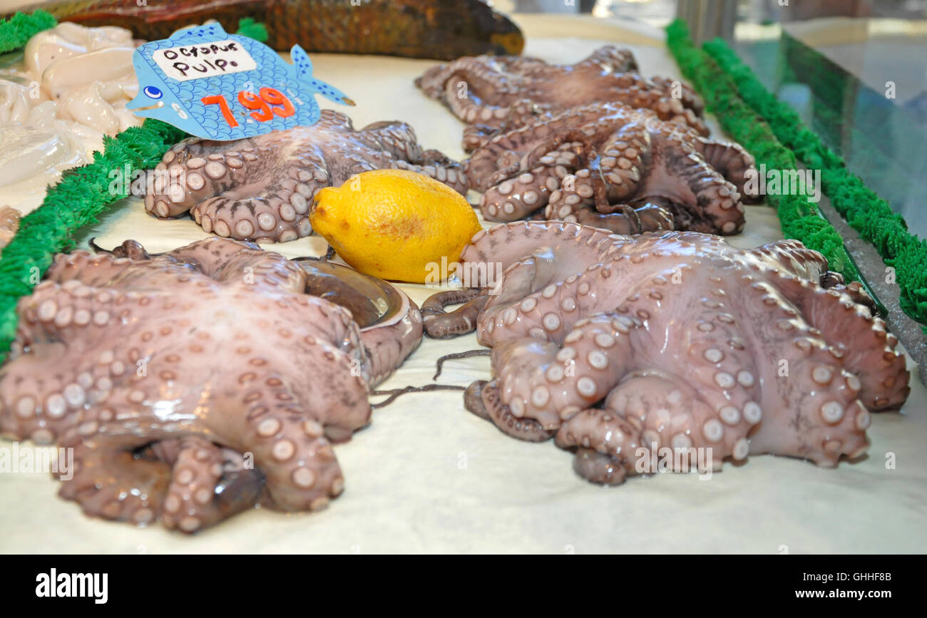 The Bronx, New York. October 30, 2015. Fresh octupus at fish market in