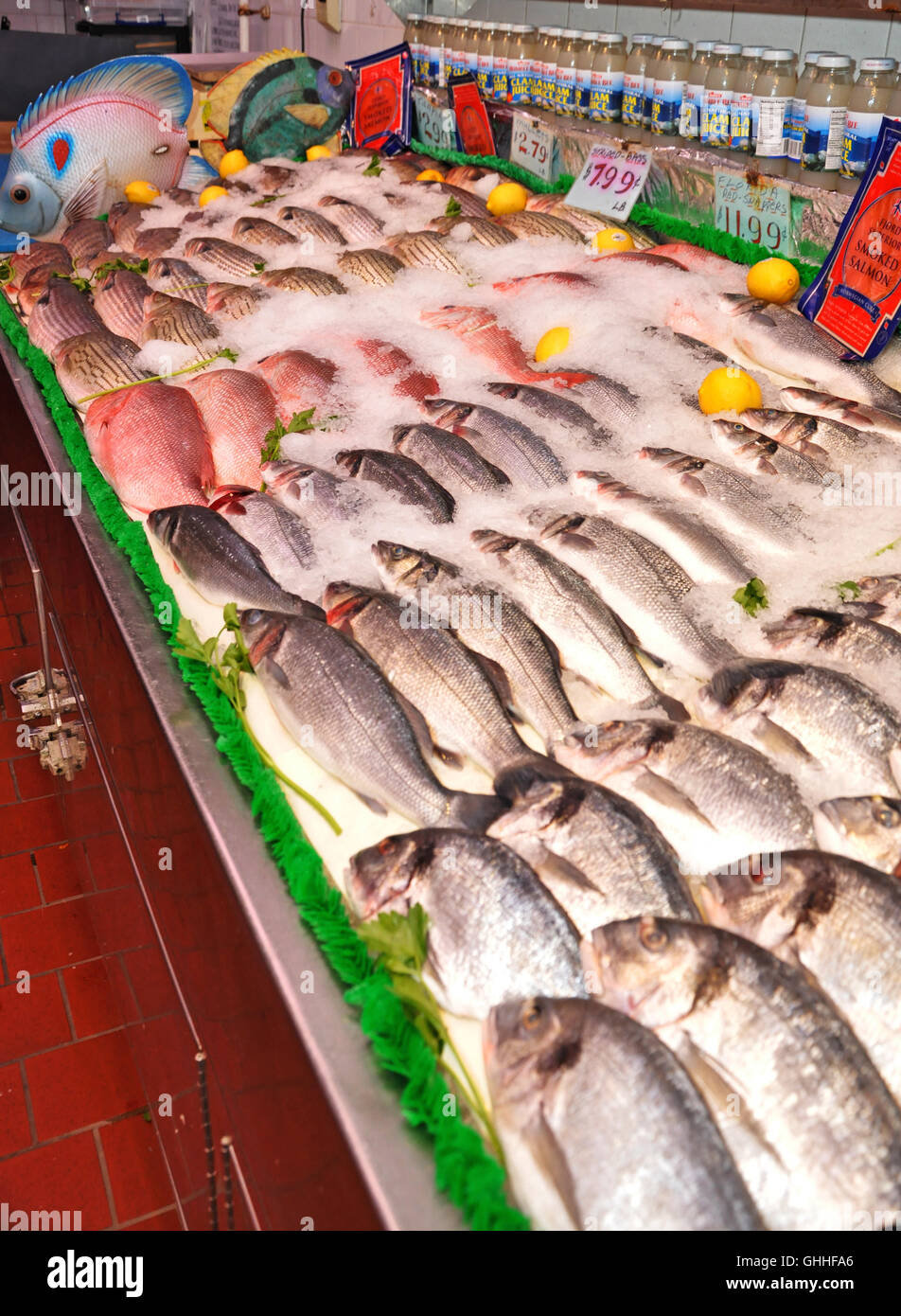 The Bronx, New York. October 30, 2015. Fresh catches at fish market in