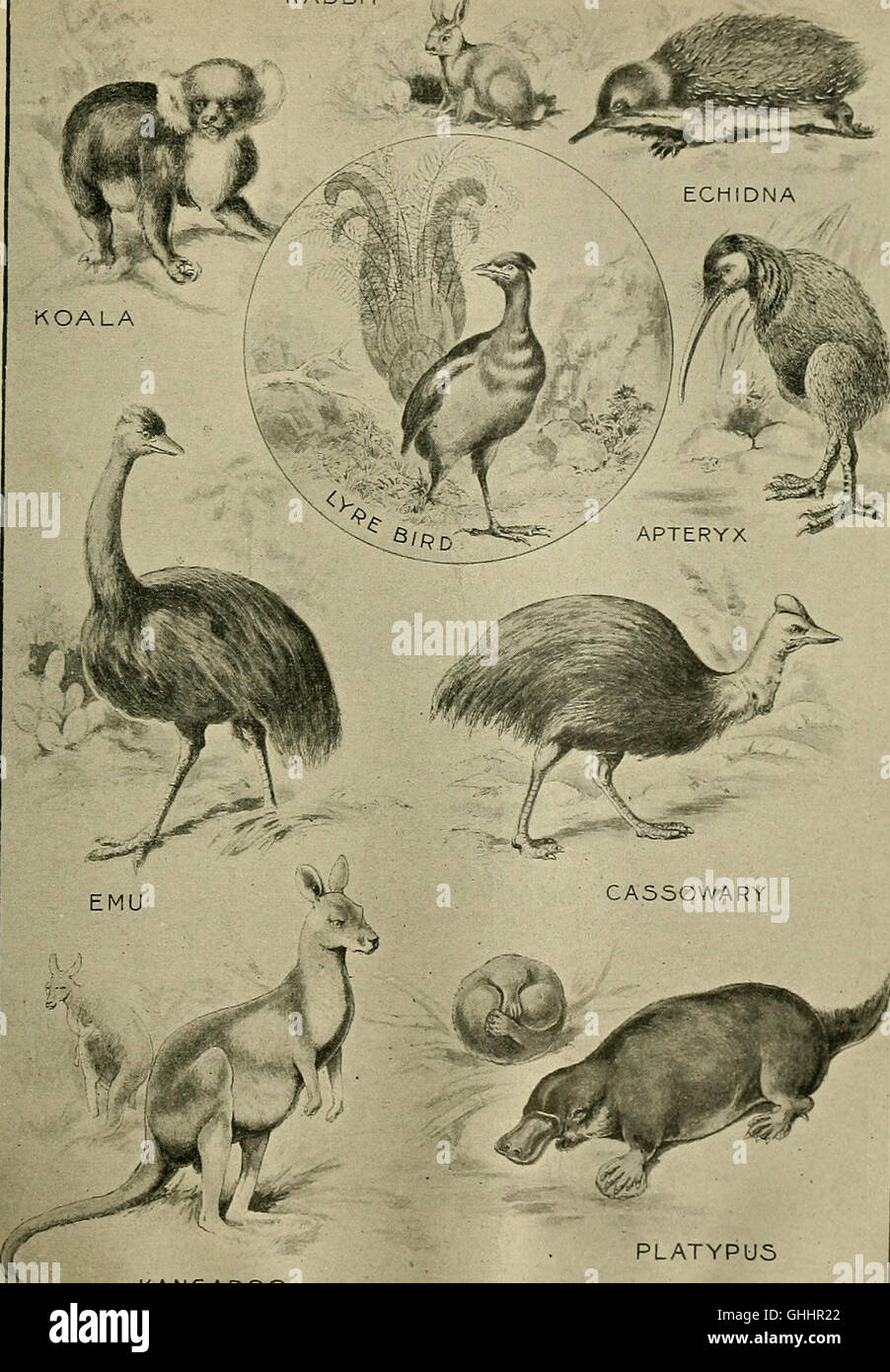 Published in 1902, this geography textbook provides an extensive ...