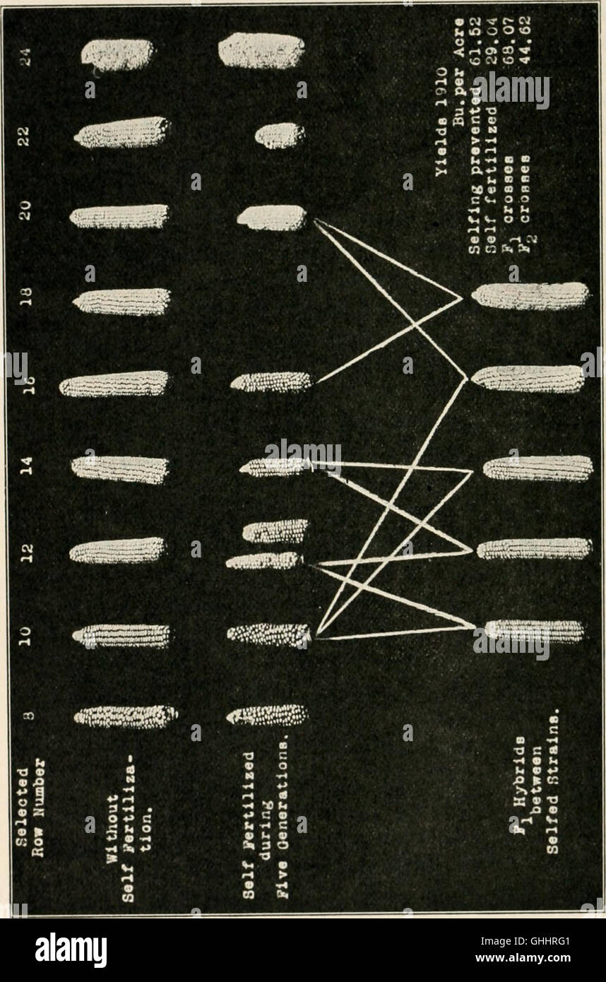 This 1920 work explores the principles of heredity and evolution in ...