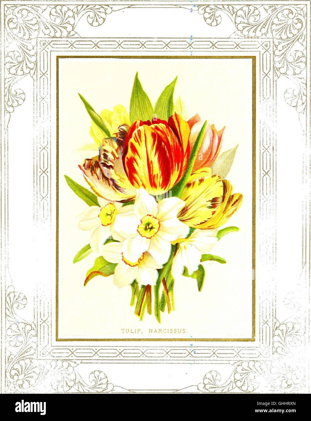 Floral poetry and the language of flowers (1877 Stock Photo Alamy