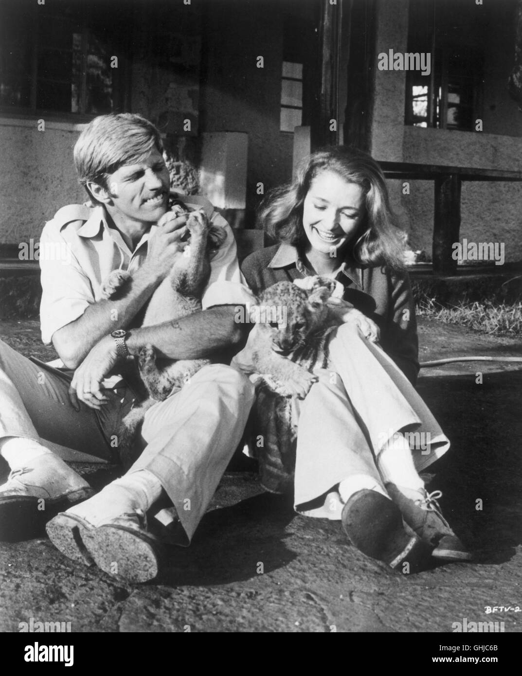 DIANA MULDAUR, GARY COLLINS (Joy and George Adamson with Lions cubs in East Africa). Regie: Jack Couffer Stock Photo