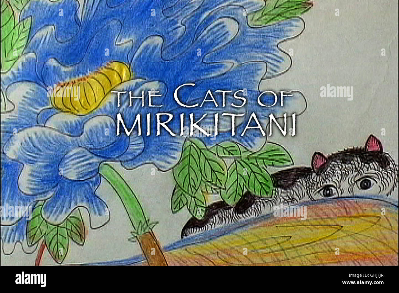 The cats of mirikitani hi-res stock photography and images - Alamy