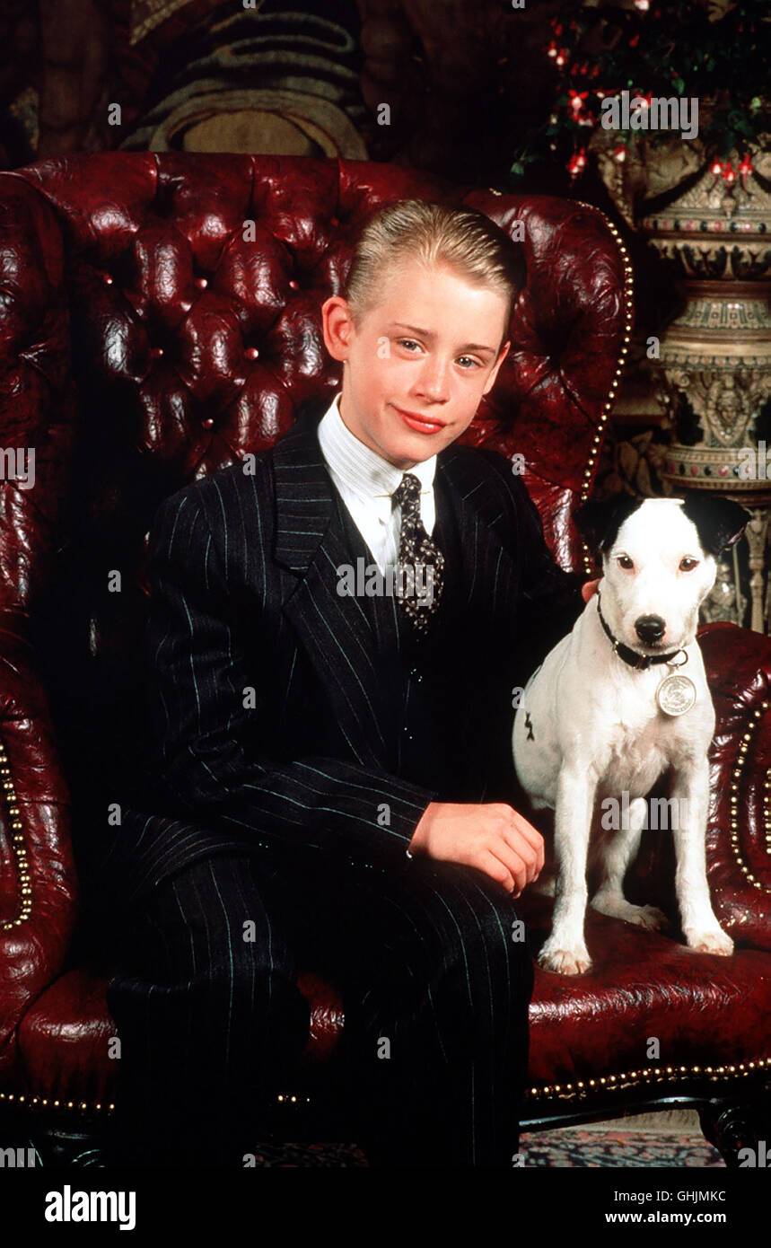 Dollar richie rich