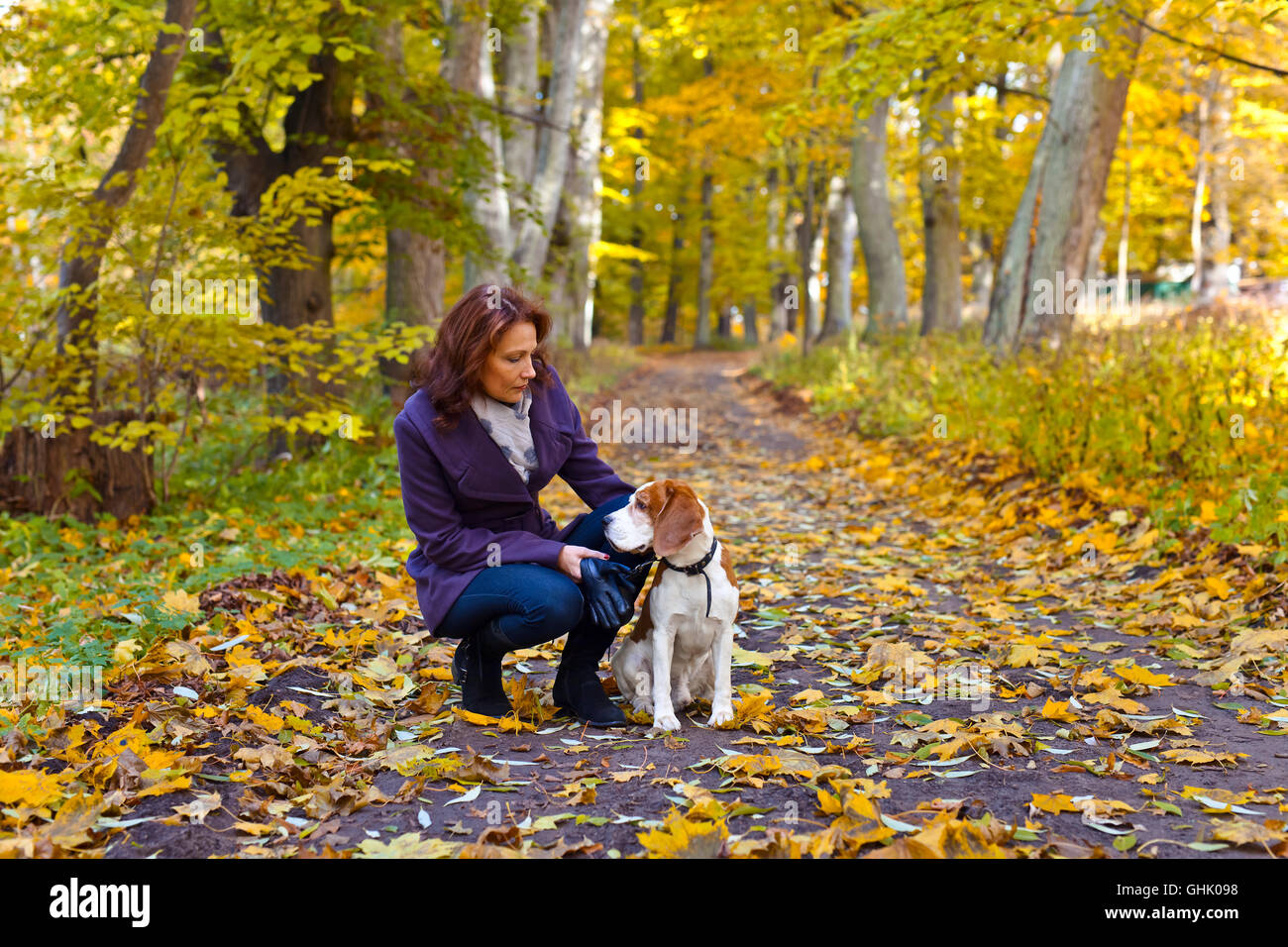 woman with dog walking in the park Stock Photo - Alamy