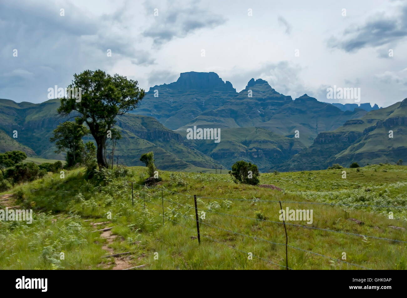 Royal Natal National Park in Drakensberg, South Africa Stock Photo