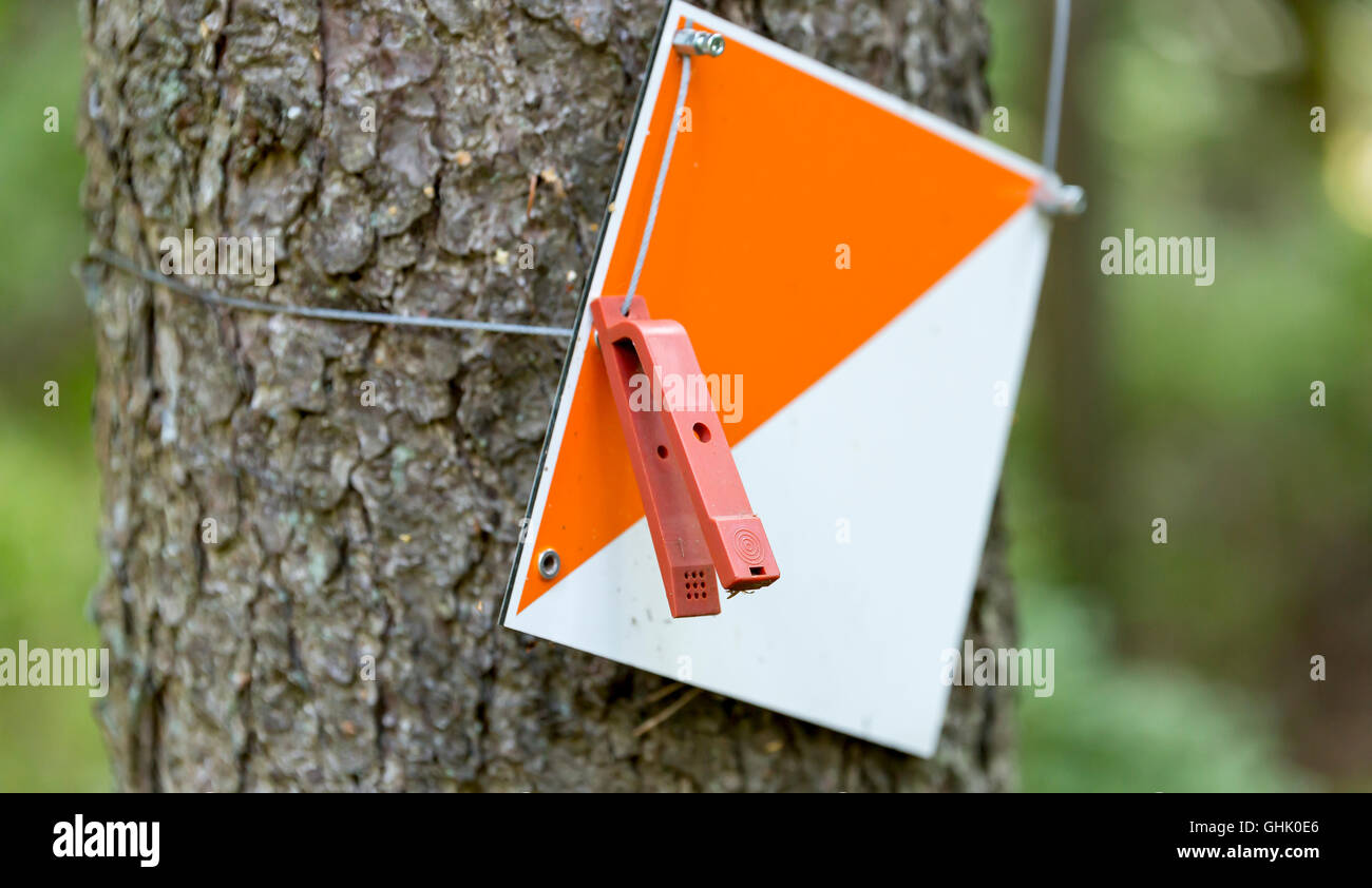 Orienteering Control Point on tree stem. Stock Photo