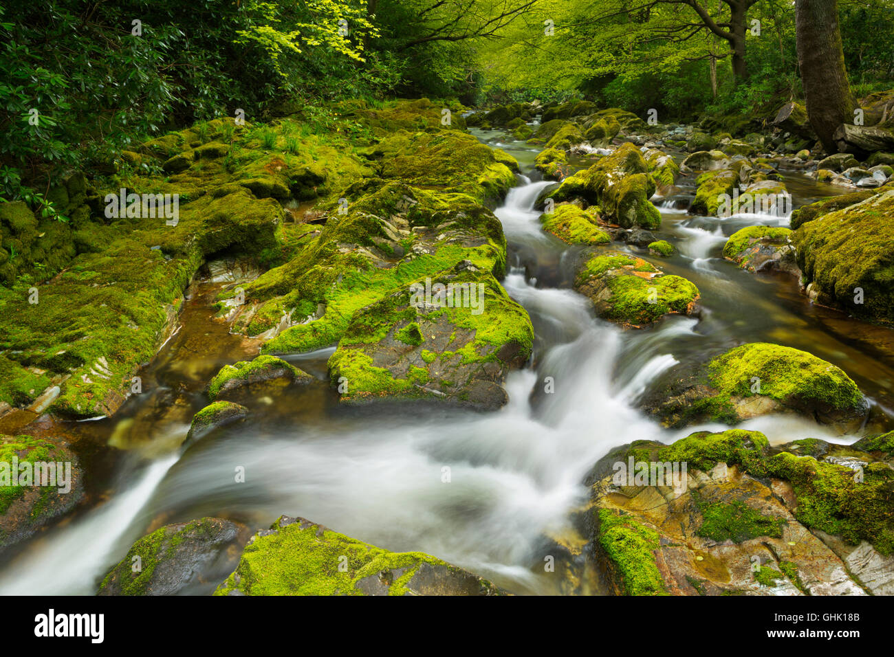 The Shimna River in Tollymore Forest Park in Northern Ireland. Stock Photo