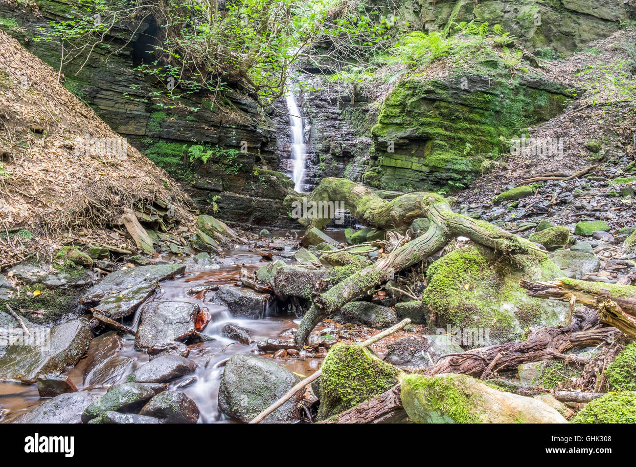 A small waterfall running down a small rock face into a small river with tree trunks that has fallen down the embankment. Stock Photo