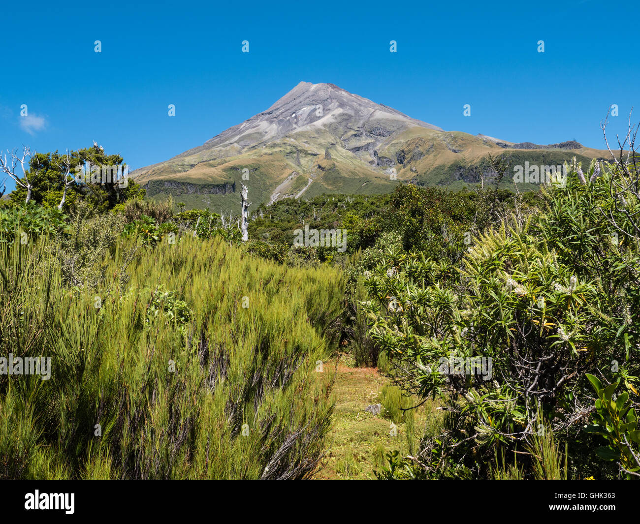 Mount Taranaki, Egmont National Park, North Island, New Zealand Stock